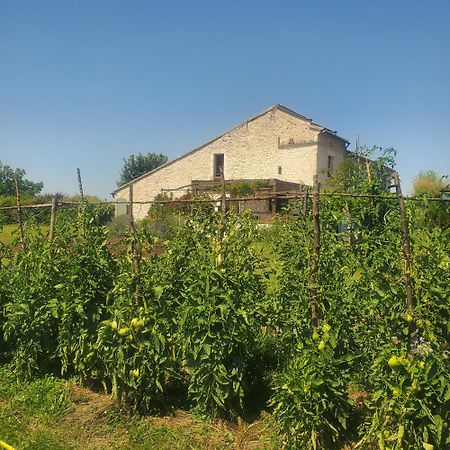 Au Mas De Janita Hotel Cahuzac-sur-Vere Exterior photo