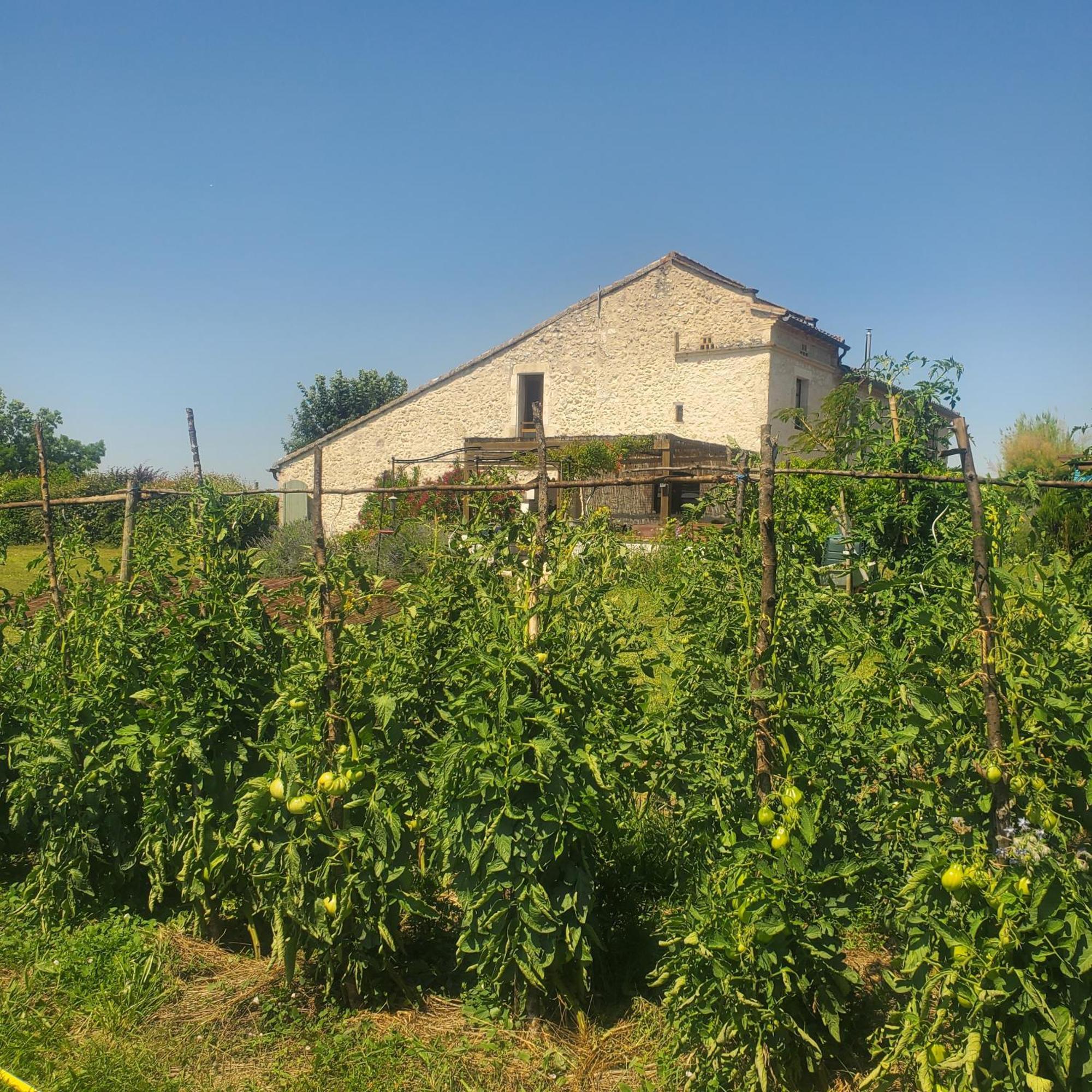 Au Mas De Janita Hotel Cahuzac-sur-Vere Exterior photo